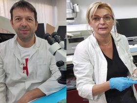 Boris and Ana Anic-Curko DryBell SMD assembly partners in their workshop.