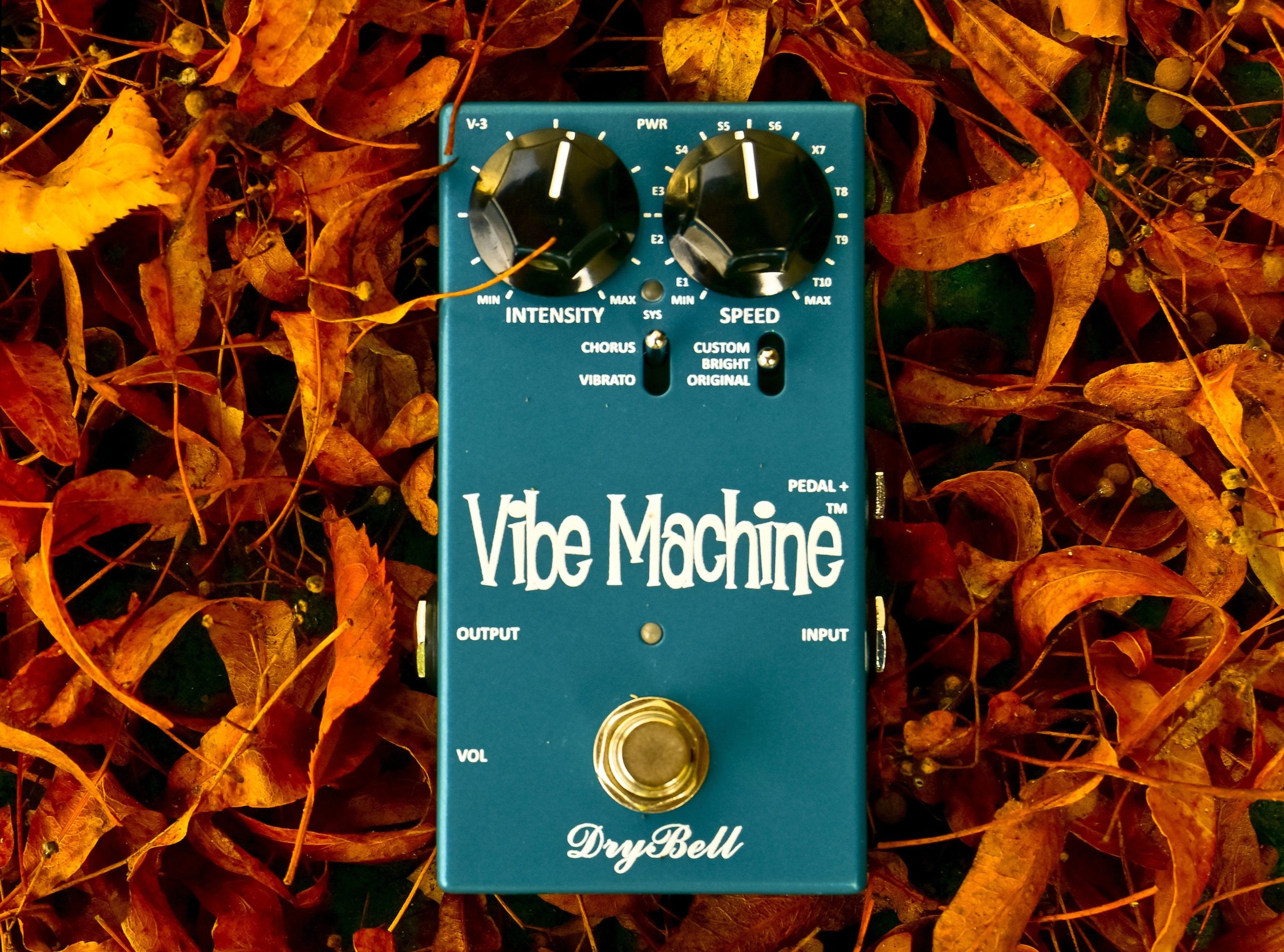 DryBell Vibe Machine placed on autumn leaves, reflecting the colorful tone of the pedal.
